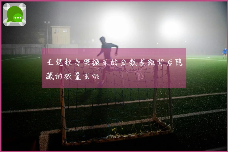王楚钦与樊振东的分数差距背后隐藏的较量玄机